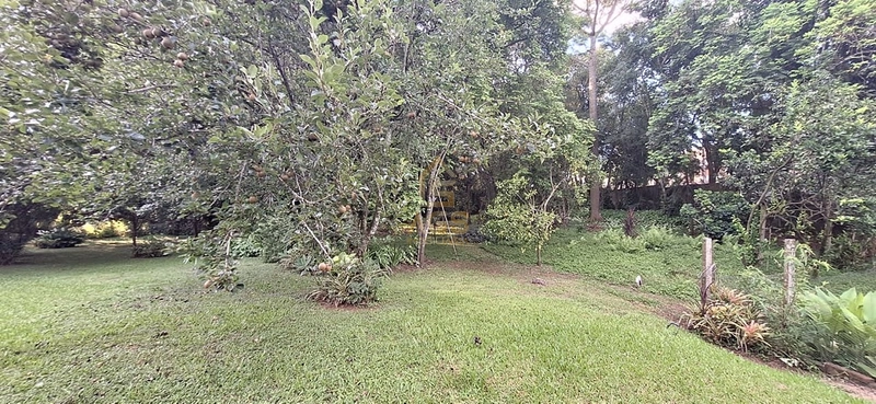 Casa de Alto Padrão com Terreno Excepcional – Um Verdadeiro Sítio Urbano em Estrela/RS: 50ª foto da galeria de imagens do imóvel