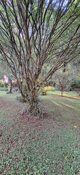 Casa de Alto Padrão com Terreno Excepcional – Um Verdadeiro Sítio Urbano em Estrela/RS: 61ª foto da galeria de imagens do imóvel