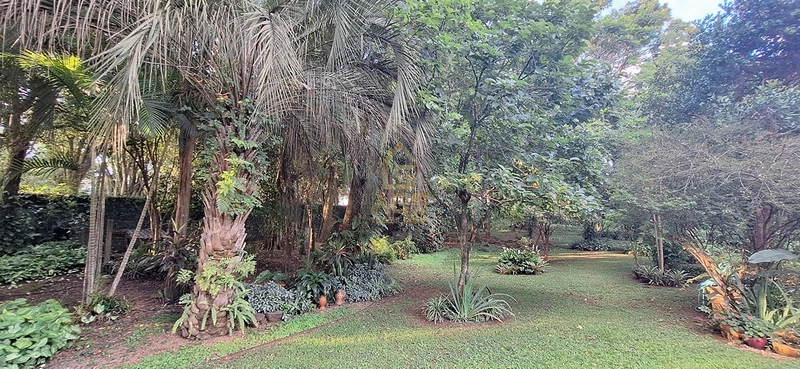 Casa de Alto Padrão com Terreno Excepcional – Um Verdadeiro Sítio Urbano em Estrela/RS: 51ª foto da galeria de imagens do imóvel