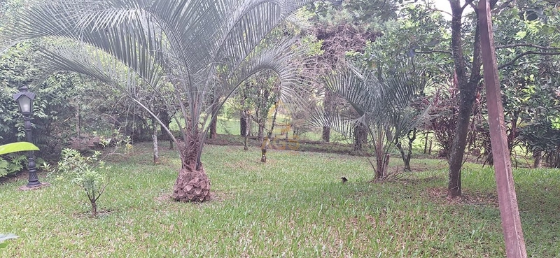 Casa de Alto Padrão com Terreno Excepcional – Um Verdadeiro Sítio Urbano em Estrela/RS: 88ª foto da galeria de imagens do imóvel