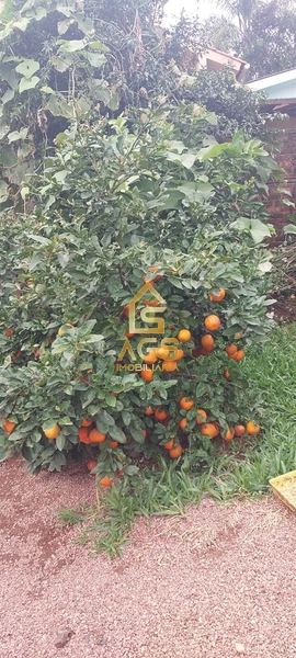 Casa à  venda em Estrela: 22ª foto da galeria de imagens do imóvel