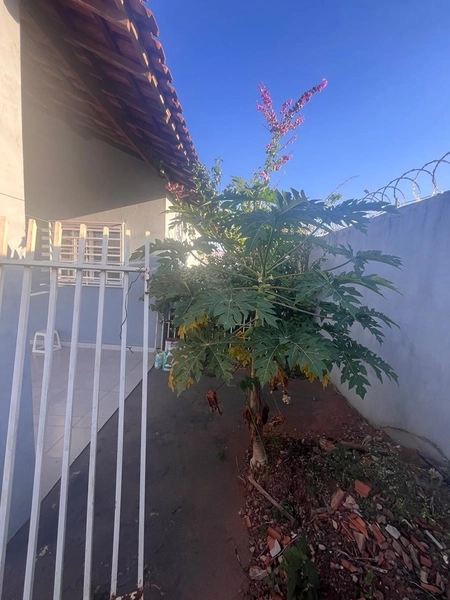 Casa com quintal amplo : 16ª foto da galeria de imagens do imóvel