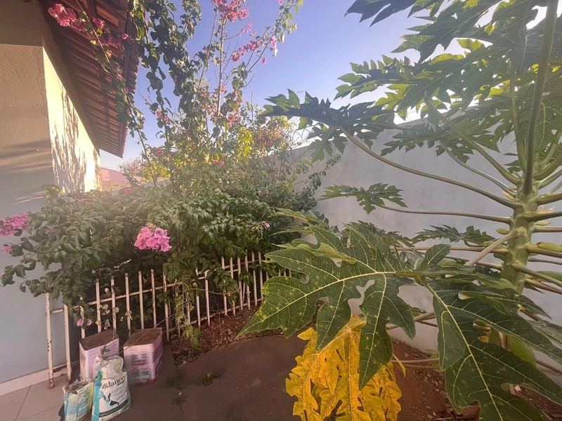 Casa com quintal amplo : 13ª foto da galeria de imagens do imóvel
