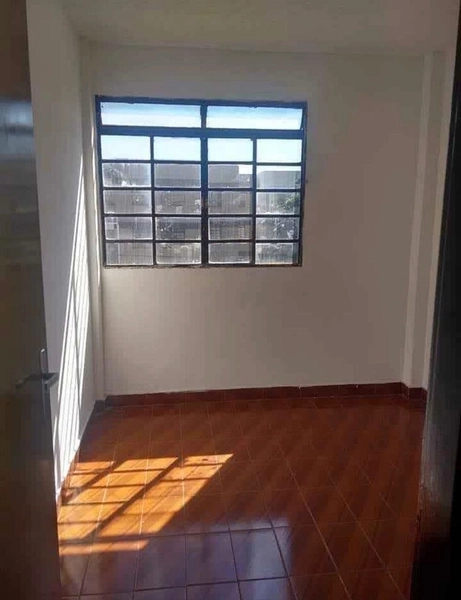 Apartamento Flamingos com 3 quartos : 13ª foto da galeria de imagens do imóvel