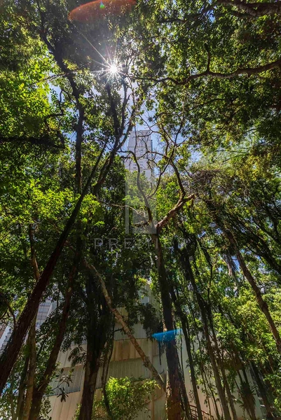 Apartamento 3 quartos em Balneário Camboriu / SC: 46ª foto da galeria de imagens do imóvel