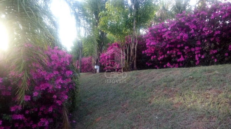 Chácara a venda próx ao Jardim Flamingo em Marília SP: 7ª foto da galeria de imagens do imóvel