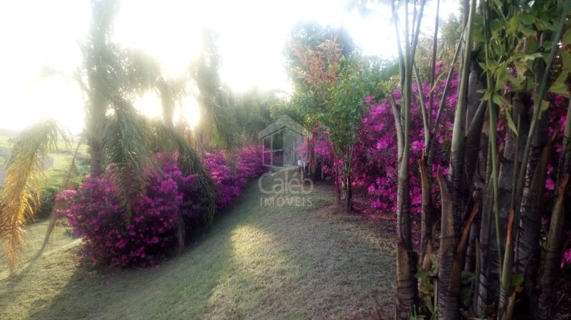 Chácara a venda próx ao Jardim Flamingo em Marília SP: 12ª foto da galeria de imagens do imóvel