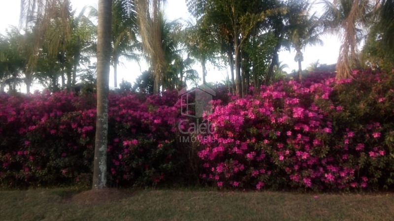 Chácara a venda próx ao Jardim Flamingo em Marília SP: 11ª foto da galeria de imagens do imóvel
