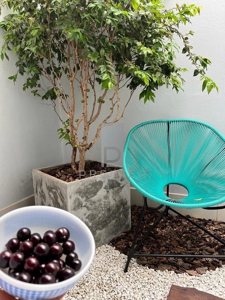 Casa a Venda com 3 quartos sendo 1 suíte no Bairro Fragata em Marília-SP.: 5ª foto da galeria de imagens do imóvel