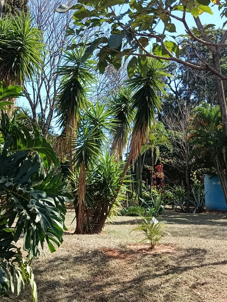 Chacara com 5 quartos e piscina aquecida no Jd America em Marilia / SP: 8ª foto da galeria de imagens do imóvel