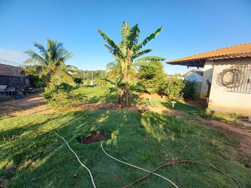 Vende-se Chácara no Bairro Letícia em Padre Nobrega.: 8ª foto da galeria de imagens do imóvel