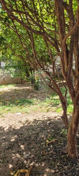 Casa à venda com 3 dormitórios no Jardim Ohara em Marília-SP: 21ª foto da galeria de imagens do imóvel