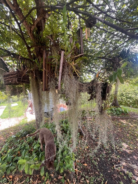 Chácara no Condomínio Green Valley em Marília-SP.: 2ª foto da galeria de imagens do imóvel