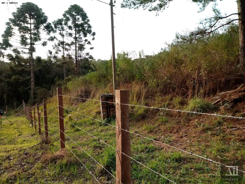 Chácara para Venda em Mandirituba, ESPIGÃO DAS ANTAS: 7ª foto da galeria de imagens do imóvel