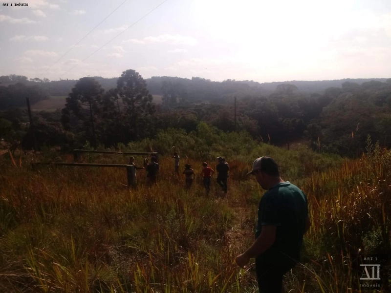 Chácara para Venda em Mandirituba, ESPIGÃO DAS ANTAS: 4ª foto da galeria de imagens do imóvel
