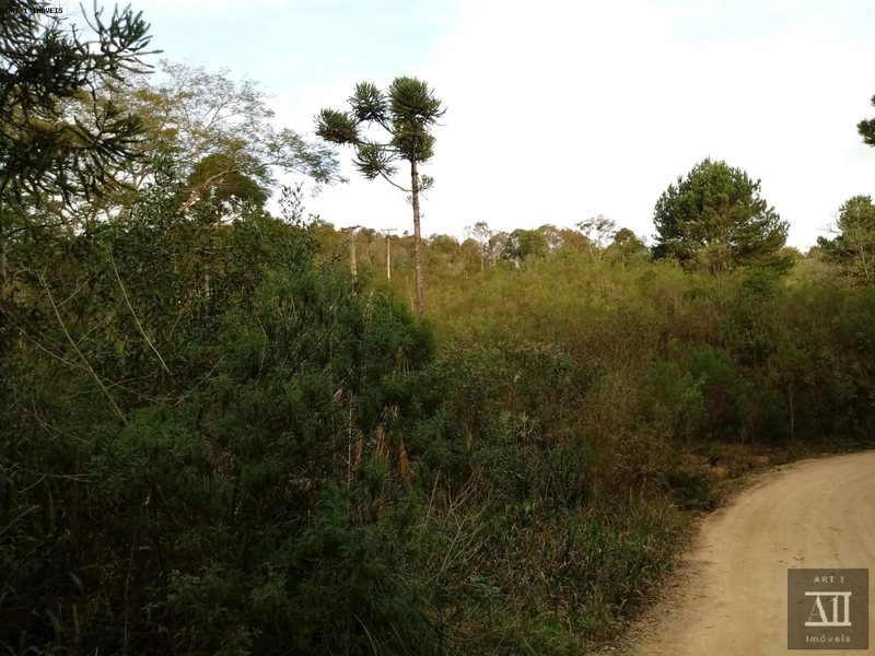 Chácara para Venda em Mandirituba, ESPIGÃO DAS ANTAS: 9ª foto da galeria de imagens do imóvel
