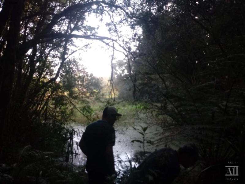 Chácara para Venda em Mandirituba, ESPIGÃO DAS ANTAS: 16ª foto da galeria de imagens do imóvel