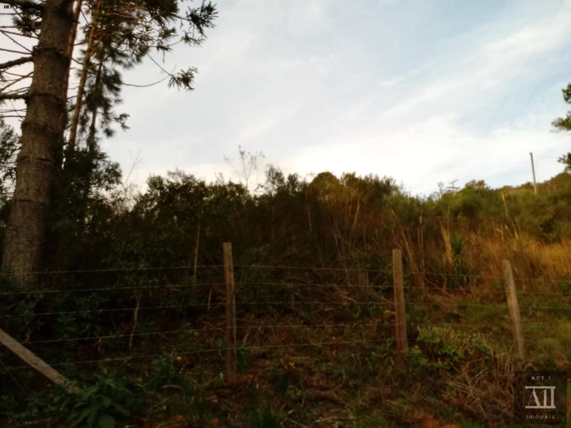 Chácara para Venda em Mandirituba, ESPIGÃO DAS ANTAS: 10ª foto da galeria de imagens do imóvel