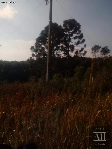Chácara para Venda em Mandirituba, ESPIGÃO DAS ANTAS: 6ª foto da galeria de imagens do imóvel