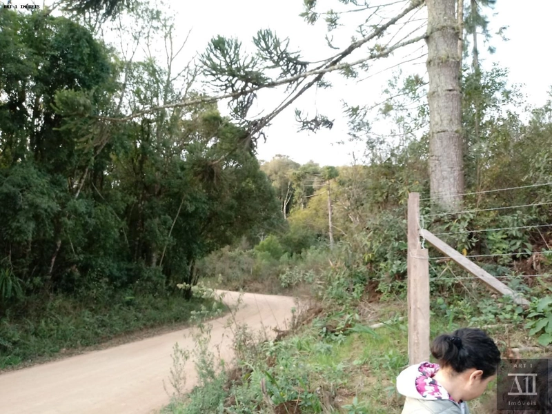 Chácara para Venda em Mandirituba, ESPIGÃO DAS ANTAS: 12ª foto da galeria de imagens do imóvel