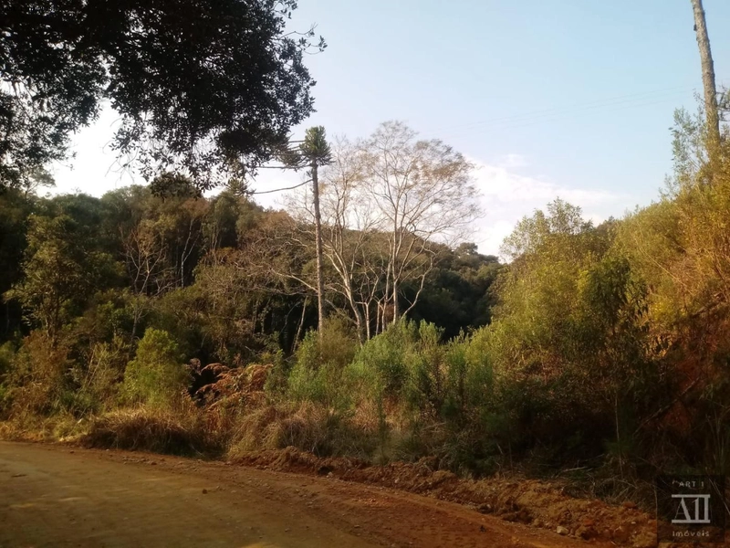 Chácara para Venda em Mandirituba, ESPIGÃO DAS ANTAS: 15ª foto da galeria de imagens do imóvel