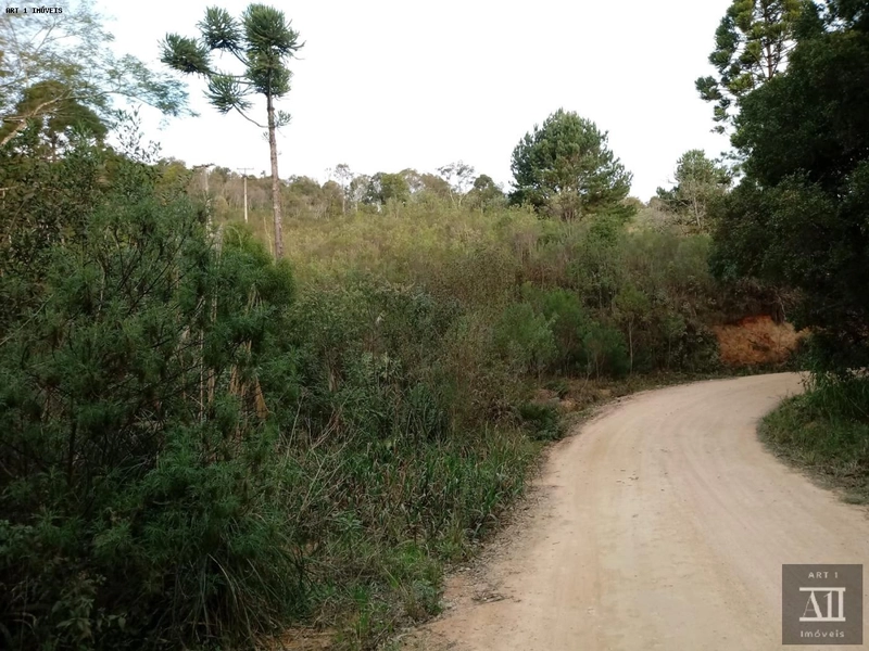 Chácara para Venda em Mandirituba, ESPIGÃO DAS ANTAS: 8ª foto da galeria de imagens do imóvel