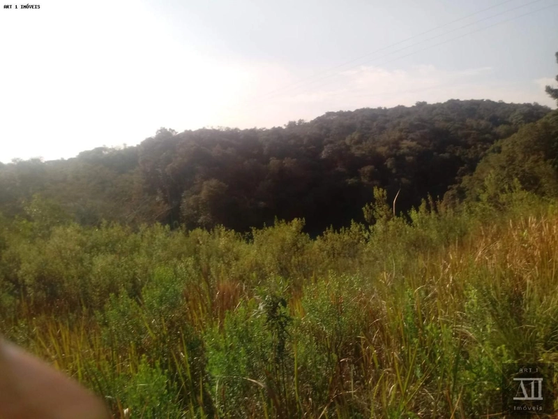Chácara para Venda em Mandirituba, ESPIGÃO DAS ANTAS: 2ª foto da galeria de imagens do imóvel