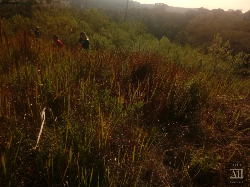 Chácara para Venda em Mandirituba, ESPIGÃO DAS ANTAS: 3ª foto da galeria de imagens do imóvel