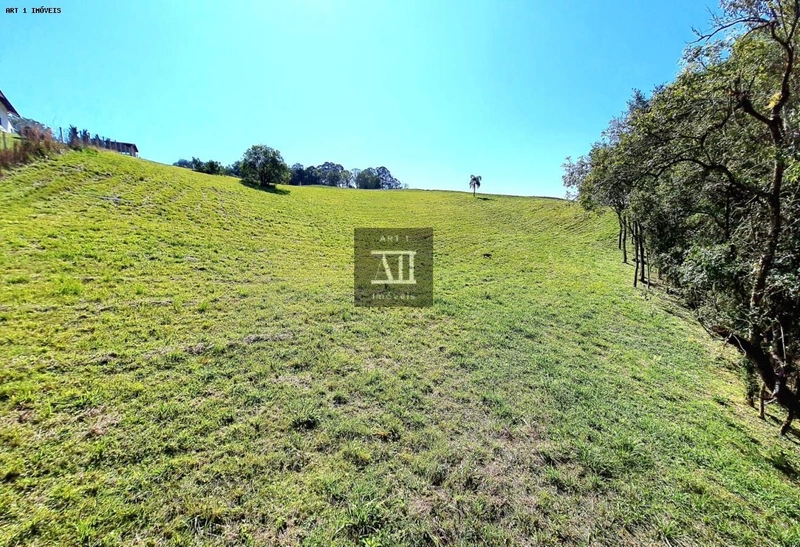 Chácara para Venda em Campo Largo, Botiatuva, 1 dormitório, 2 vagas: 16ª foto da galeria de imagens do imóvel