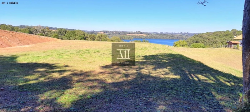 Chácara para Venda em Campo Largo, Botiatuva, 1 dormitório, 2 vagas: 7ª foto da galeria de imagens do imóvel