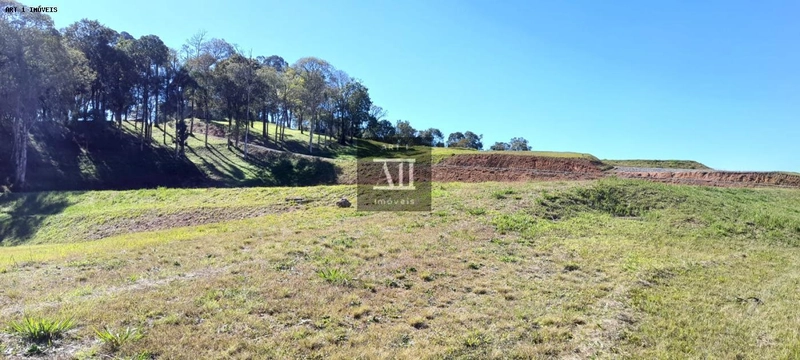 Chácara para Venda em Campo Largo, Botiatuva, 1 dormitório, 2 vagas: 5ª foto da galeria de imagens do imóvel