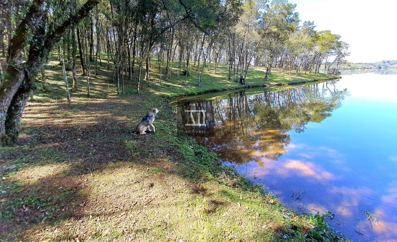 Chácara para Venda em Campo Largo, Botiatuva, 1 dormitório, 2 vagas: 14ª foto da galeria de imagens do imóvel