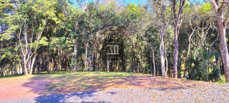 Chácara para Venda em Campo Largo, Botiatuva, 1 dormitório, 2 vagas: 18ª foto da galeria de imagens do imóvel