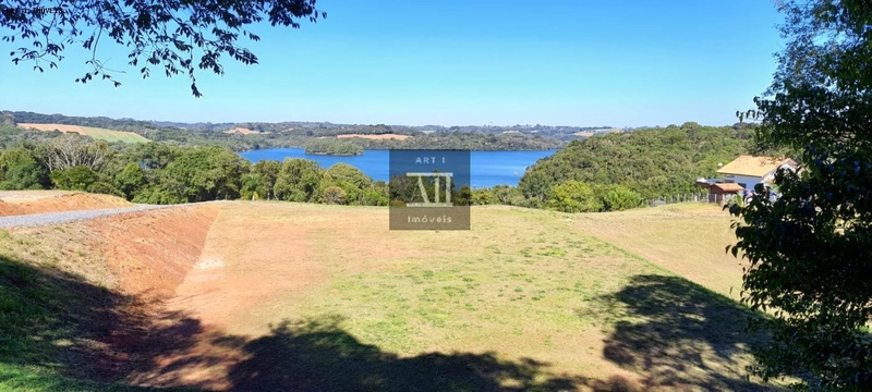 Chácara para Venda em Campo Largo, Botiatuva, 1 dormitório, 2 vagas: 12ª foto da galeria de imagens do imóvel