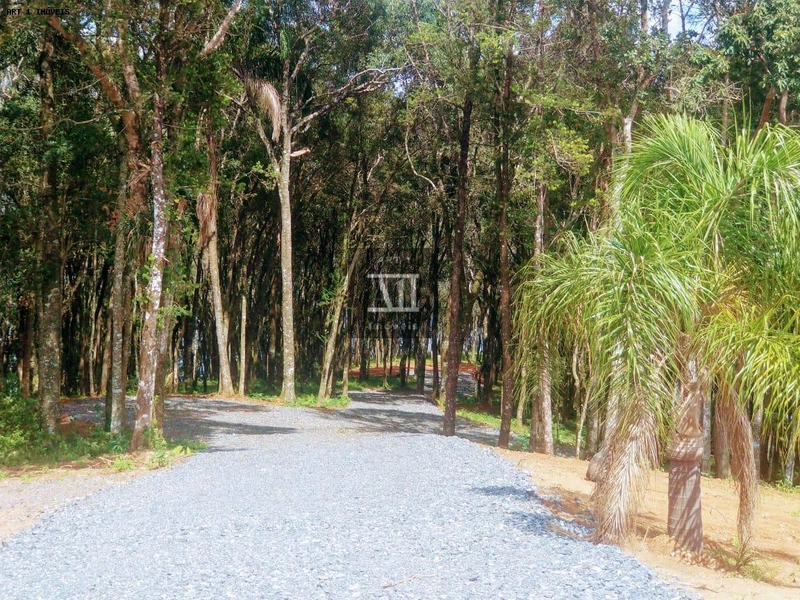 Chácara para Venda em Campo Largo, Botiatuva, 1 dormitório, 2 vagas: 22ª foto da galeria de imagens do imóvel