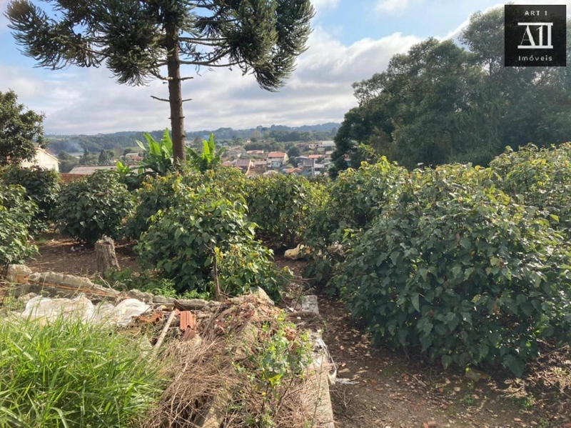 Terreno para Venda em Campo Largo, Vila Santa Terezinha - LOTEAMENTO VILA SANTO ONOFRE: 9ª foto da galeria de imagens do imóvel