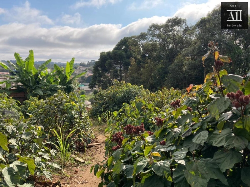 Terreno para Venda em Campo Largo, Vila Santa Terezinha - LOTEAMENTO VILA SANTO ONOFRE: 8ª foto da galeria de imagens do imóvel