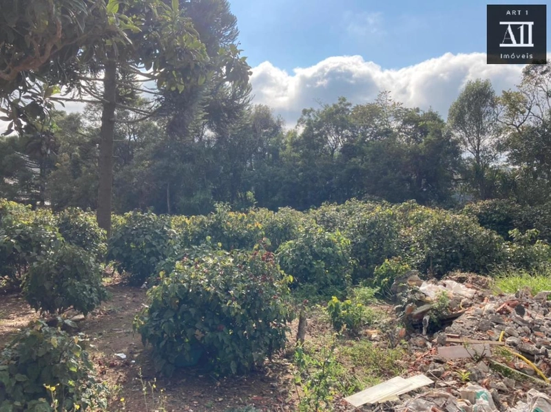 Terreno para Venda em Campo Largo, Vila Santa Terezinha - LOTEAMENTO VILA SANTO ONOFRE: 6ª foto da galeria de imagens do imóvel