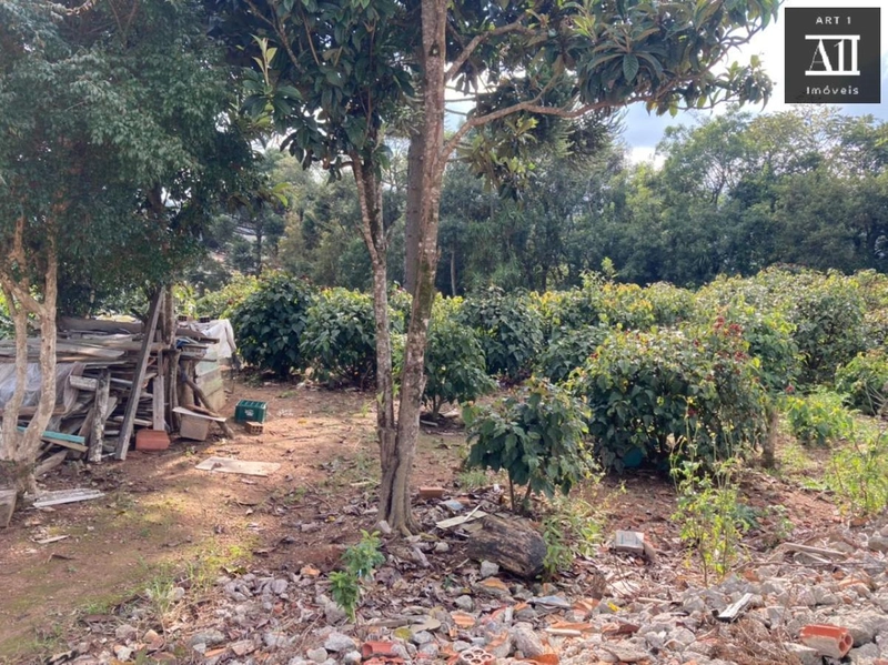 Terreno para Venda em Campo Largo, Vila Santa Terezinha - LOTEAMENTO VILA SANTO ONOFRE: 7ª foto da galeria de imagens do imóvel
