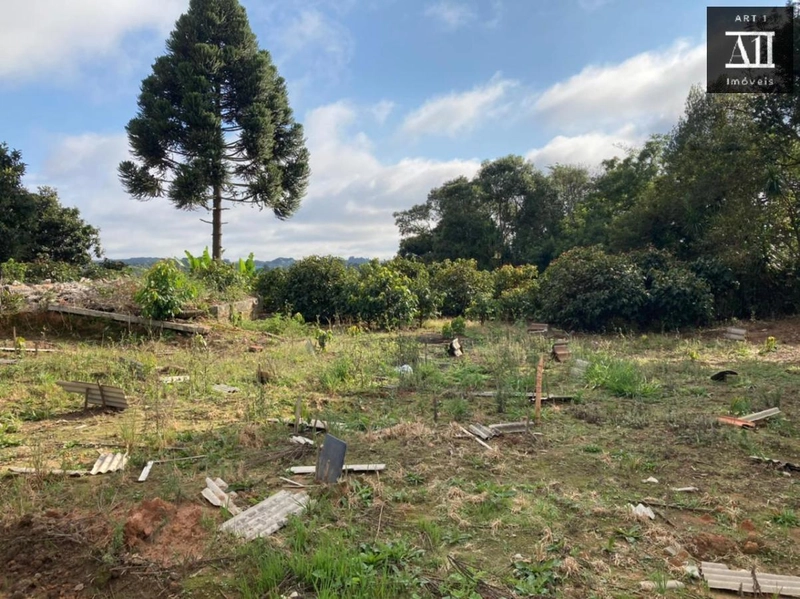 Terreno para Venda em Campo Largo, Vila Santa Terezinha - LOTEAMENTO VILA SANTO ONOFRE: 12ª foto da galeria de imagens do imóvel