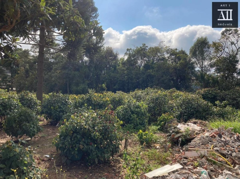 Terreno para Venda em Campo Largo, Vila Santa Terezinha - LOTEAMENTO VILA SANTO ONOFRE: 11ª foto da galeria de imagens do imóvel