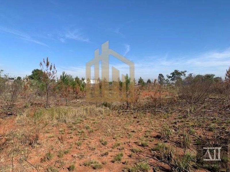 Terreno Urbano para Venda em Pinhais, Centro: 12ª foto da galeria de imagens do imóvel