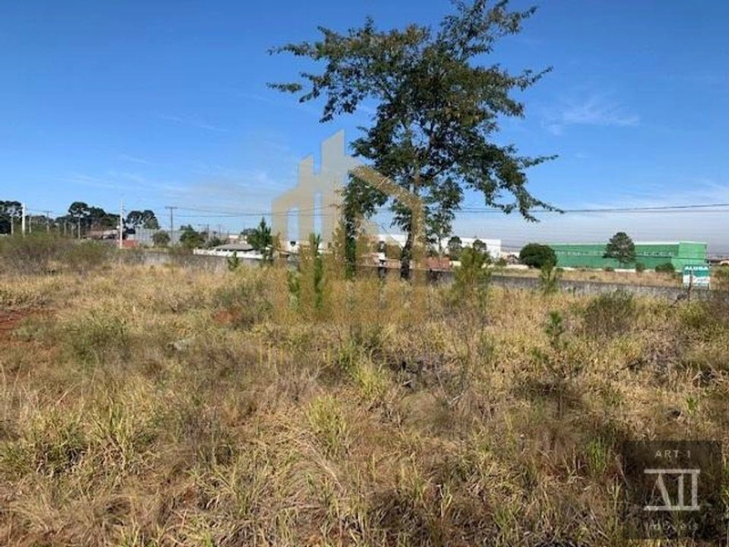 Terreno Urbano para Venda em Pinhais, Centro: 8ª foto da galeria de imagens do imóvel