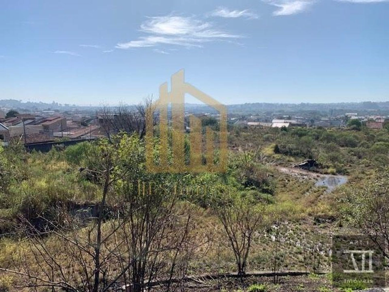 Terreno Urbano para Venda em Pinhais, Centro: 16ª foto da galeria de imagens do imóvel