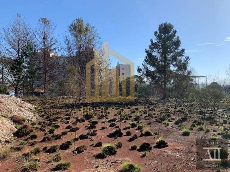 Terreno Urbano para Venda em Pinhais, Centro: 11ª foto da galeria de imagens do imóvel