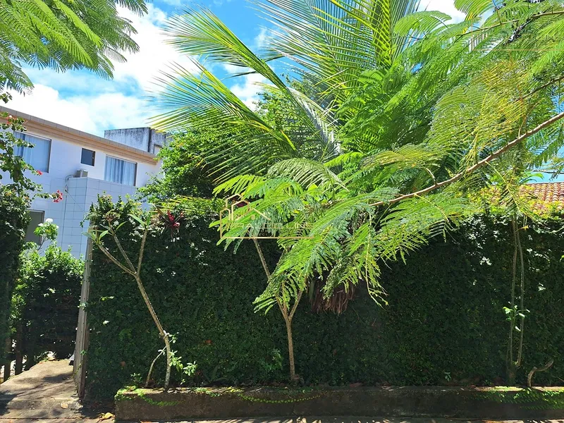 Ampla Casa com Terreno de 1.251m² em Patamares  Colina C: 29ª foto da galeria de imagens do imóvel