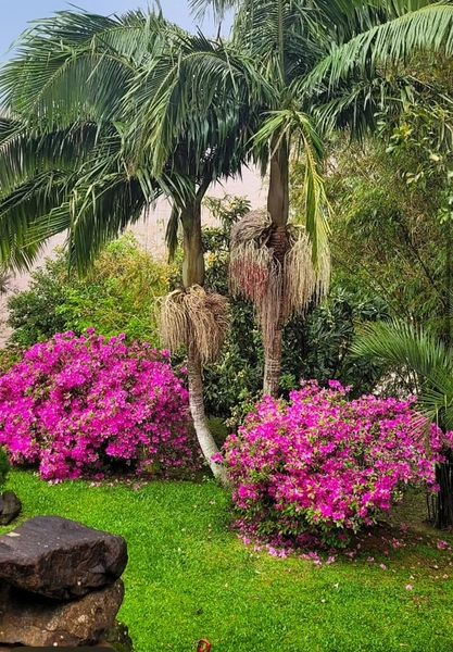 Um Paraíso na beira da lagoa com vista para a montanha: 5ª foto da galeria de imagens do imóvel