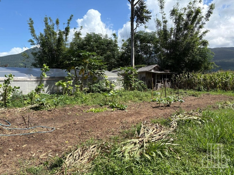 ENCANTADORA CHÁCARA NAS MARGENS DA BR-101 EM TERRA DE AREIA!: 5ª foto da galeria de imagens do imóvel