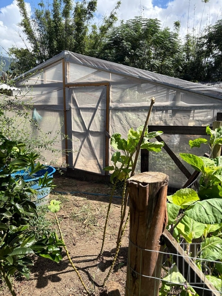 ENCANTADORA CHÁCARA NAS MARGENS DA BR-101 EM TERRA DE AREIA!: 8ª foto da galeria de imagens do imóvel