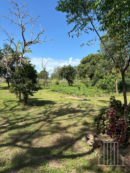 ENCANTADORA CHÁCARA NAS MARGENS DA BR-101 EM TERRA DE AREIA!: 2ª foto da galeria de imagens do imóvel